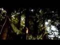 Danger - Insolence
