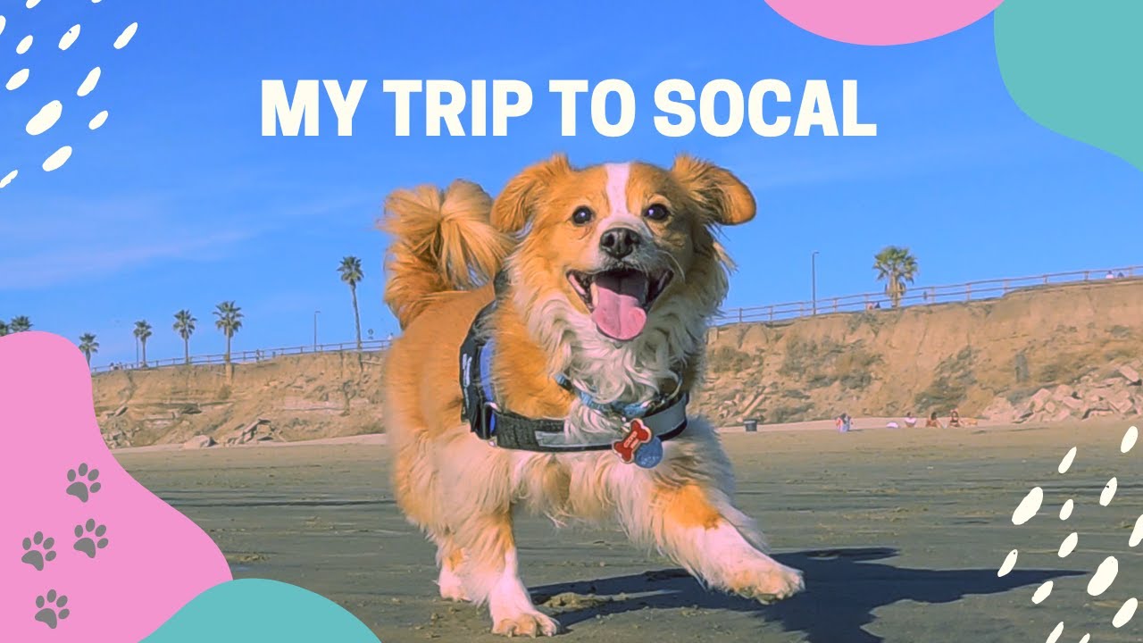 Cooper's Trip to SoCal