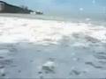 tsunami penang