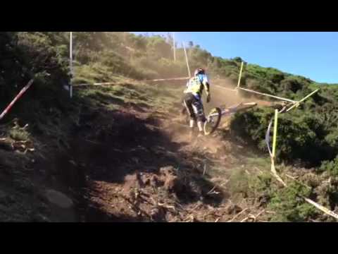 chain reaction cycles