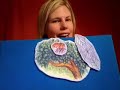 Itsy Bitsy Spider Felt Board Story Cullen's Abc's