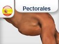Flexiones Hindu
