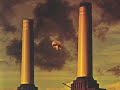pink floyd   pigs  three different ones 