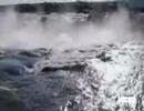 Life Is Worth Living -A Nature Movie- Life Is Worth Living -A Nature Movie-