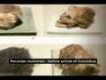Trailer2- First Americans - Out of Europe