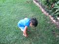 videos de Picking more flowers