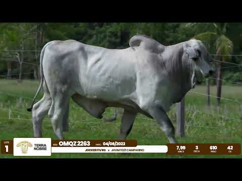 1� De Olho na Fazenda - Terra Nobre