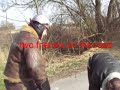 two friends on the road two friends on the road