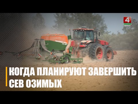 Посевную кампанию озимых на Гомельщине нужно завершить до 3 октября видео