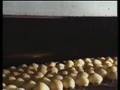 Babà e sfogliatella