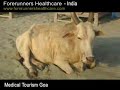 Liposuction surgery in Goa at low cost with a holiday trip.