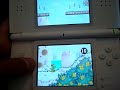 What the R4DS Can Do