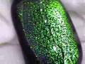 #38-DICHROIC PENDANTS-2007