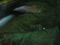 Biodome - Montr�al