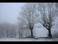 El viaje. Erik Satie y Michael Nyman.