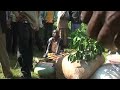 Coffee Thiefs in Ethiopia