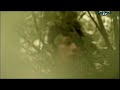 Spaceman - Verdena (video musicale)
