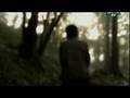 Spaceman - Verdena (video musicale)