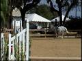 videos de Hillcrest Blue Halo (Pony For Sale)