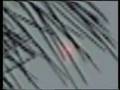 Possible UFO Footage Captured in Tallahassee