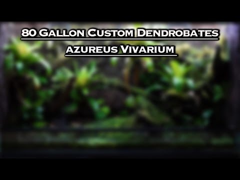 YouTube reptile video
