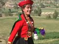 gatitas soñadoras del arpa,la vida del pobre