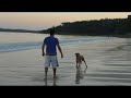 OBEDIENCE TRAINING ITALIAN  CANE   CORSO  ITACOR SWAY 10 M...