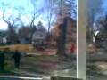 videos de my poor tree 2