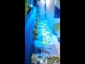 Rampak gendang sanggar mekarsari