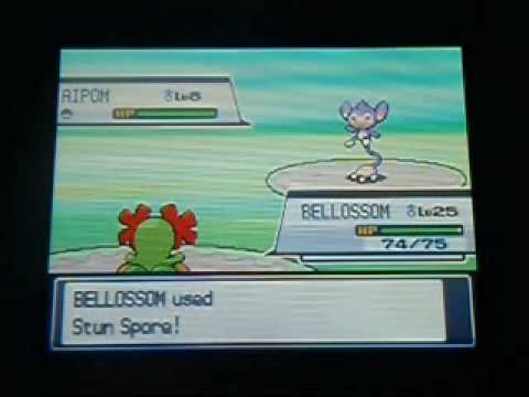 Heracross