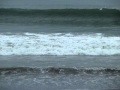 海水公園の悪臭