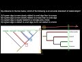 Based On The Phylogenetic Chart Which Three Statements