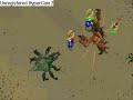 Dragon chainbody from Kalphite Queen Dragon chainbody from Kalphite Queen