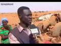 Airplane crash in Khartoum (warning: some graphic images)