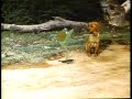 Zip-a-Dee-Doo-Dah (Reprise) Zip-a-Dee-Doo-Dah (Reprise)