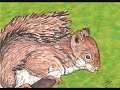 ACEO Original Art Cards by Kathryn ebay ID sunriseworkshop