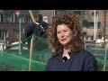 Stadslandbouw in beeld