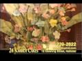DIno 24 Karrot Cake Ad