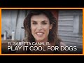 Plays It Cool for Dogs (PETA App)