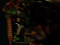 Merry chrisytmas Youtube!! From the Playmobil community!