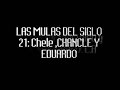 las mulas del siglo 21