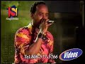 los potros (GrupoStelar) salcedo los potros (GrupoStelar) salcedo