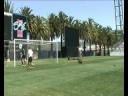 an amazing strike from a local hero