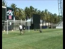 an amazing strike from a local hero