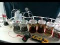 6 cell setup 6 cell setup