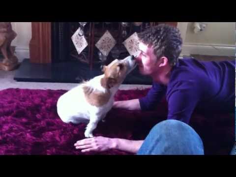 how to train jack russells to hunt