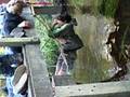 videos de Arno onder de brug =P