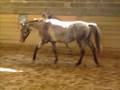 cheval