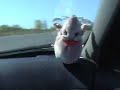 Alfa Romeo 146 ti dfg Ügyességi verseny belülről