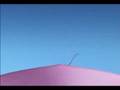 videos de Zzzzeplin